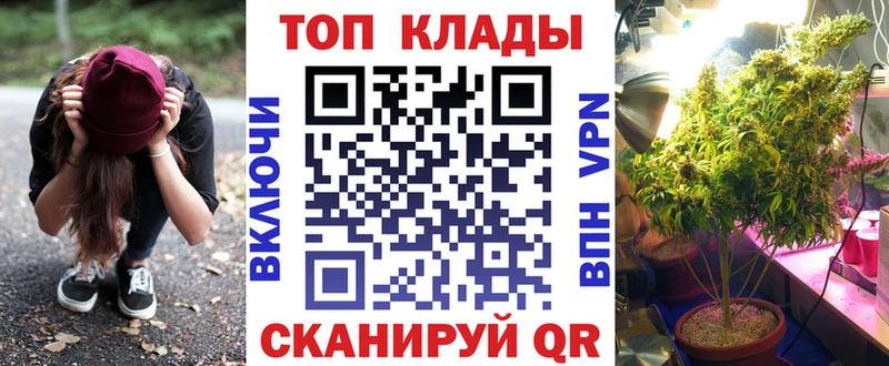 Где продают наркотики Володарск Галлюциногенные грибы ЭКСТАЗИ ГАШИШ Меф Каннабис A-PVP Кокаин