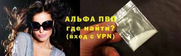spice Богданович