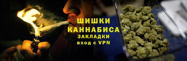 spice Богданович