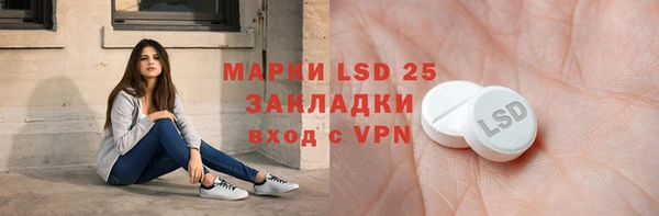 spice Богданович