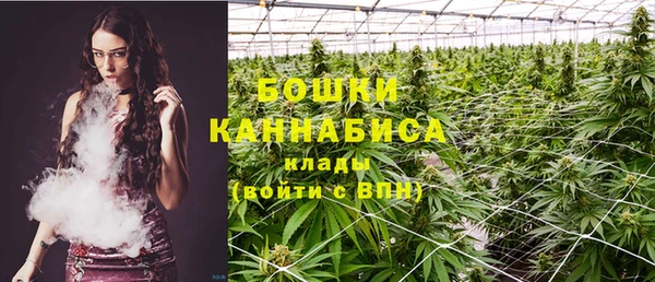 spice Богданович