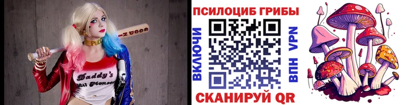Псилоцибиновые грибы Psilocybe  нарко площадка официальный сайт  Володарск  где продают наркотики 